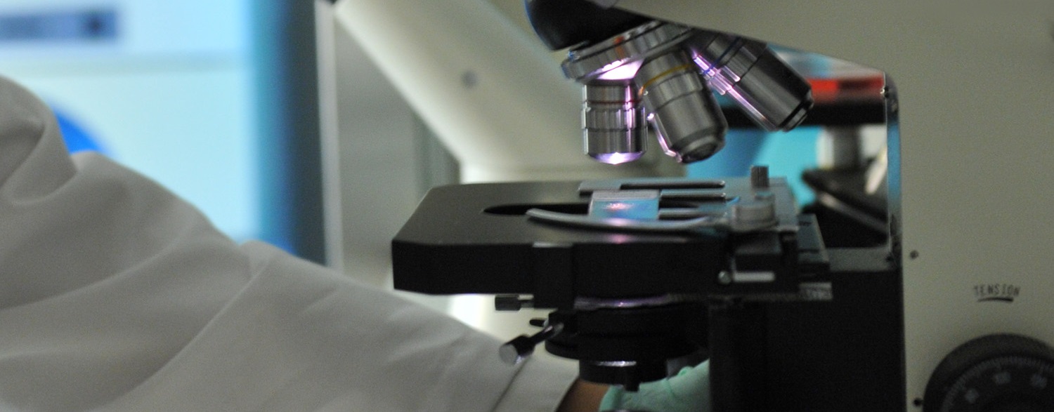 Laboratory Services Schedule Online Valley Health System